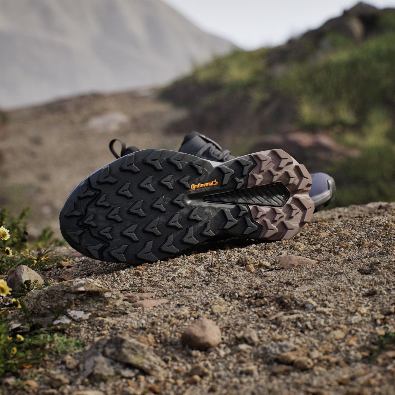 Adidas Terrex Womens Trailmaker 2.0 GORE-TEX Hiking Shoes Carbon / Core Black / Preloved Violet - pam pam