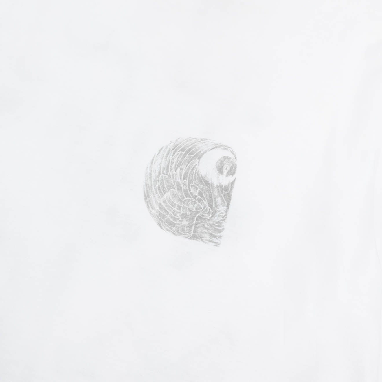 Carhartt WIP Womens S/S Okniceok T-Shirt White - pam pam