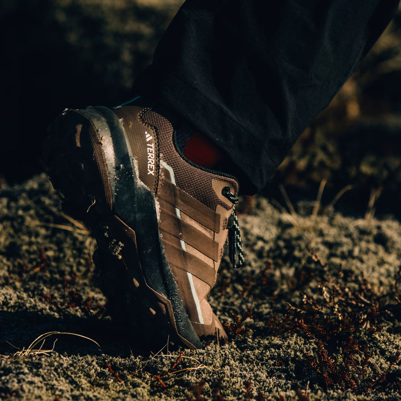 Adidas Terrex Womens Skychaser AX5 GoreTex Hiking Shoe Trace Brown / Earth Strata / Semi Impact Orange - pam pam 