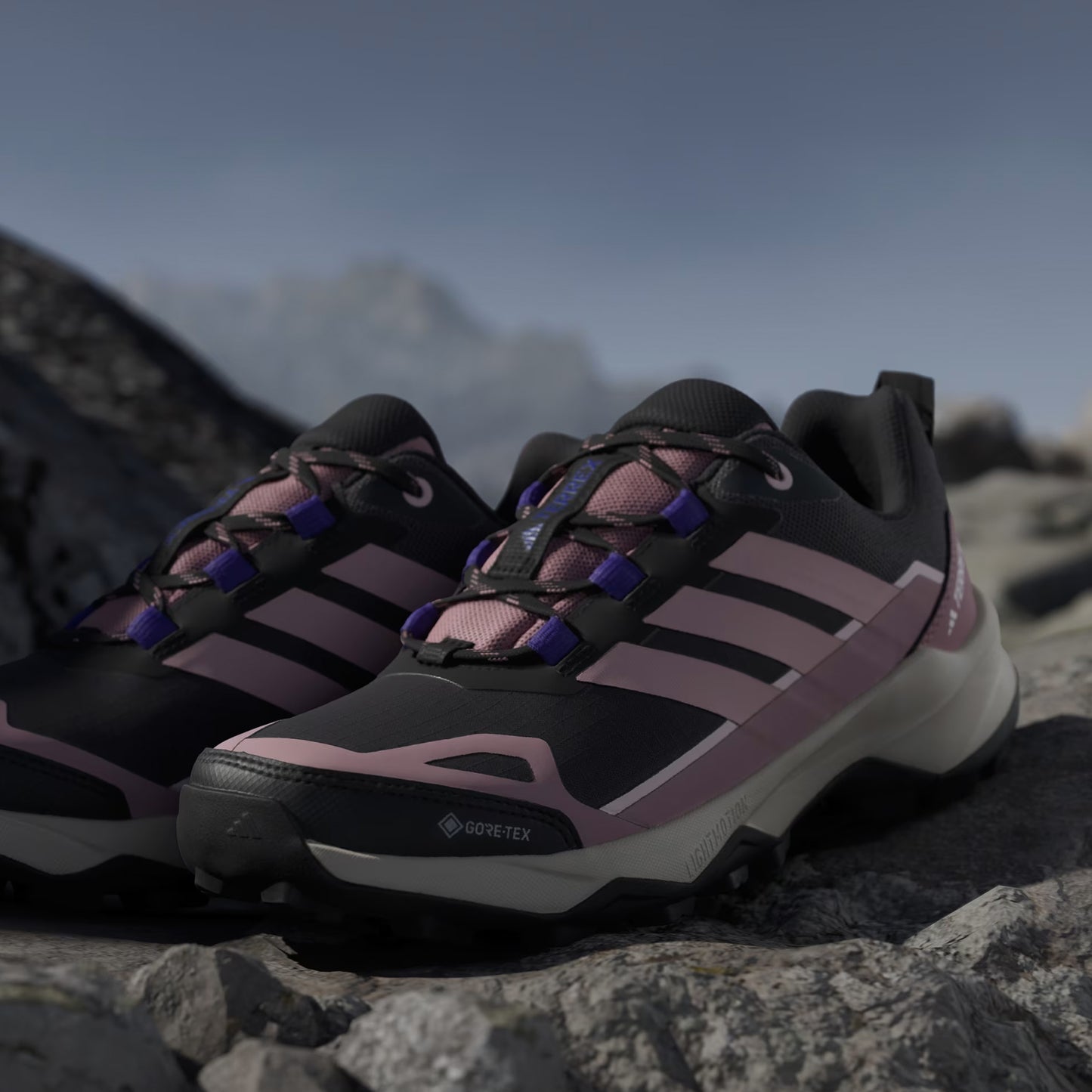 Adidas Terrex Womens Skychaser AX5 Trainer Gore-Tex Core Black / Core Black / Dual Lilac