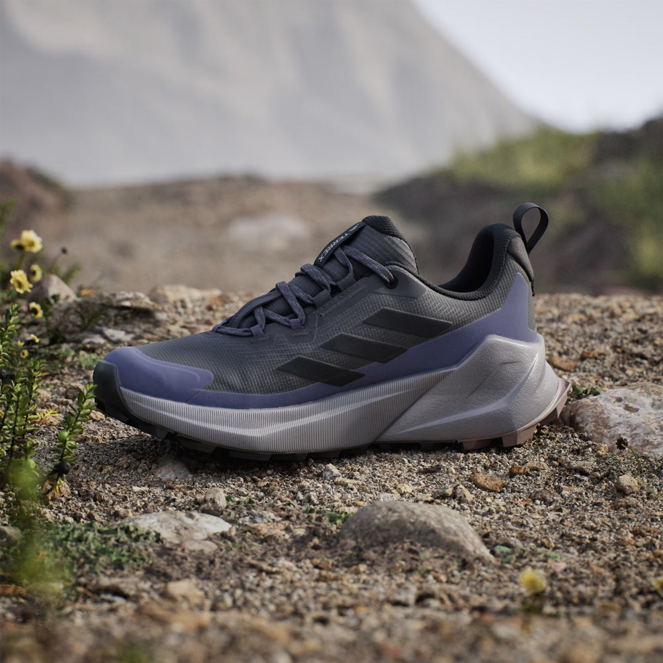 Adidas Terrex Womens Trailmaker 2.0 GORE-TEX Hiking Shoes Carbon / Core Black / Preloved Violet - pam pam 