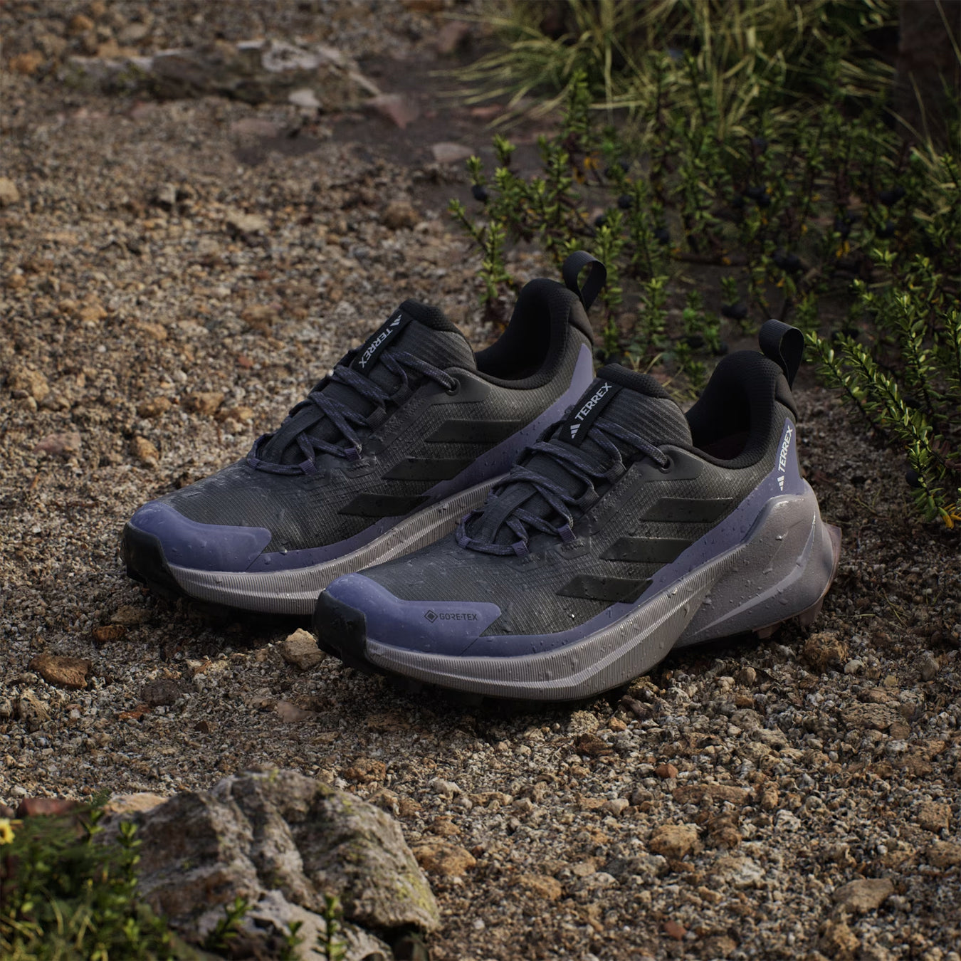 Adidas Terrex Womens Trailmaker 2.0 GORE-TEX Hiking Shoes Carbon / Core Black / Preloved Violet - pam pam 