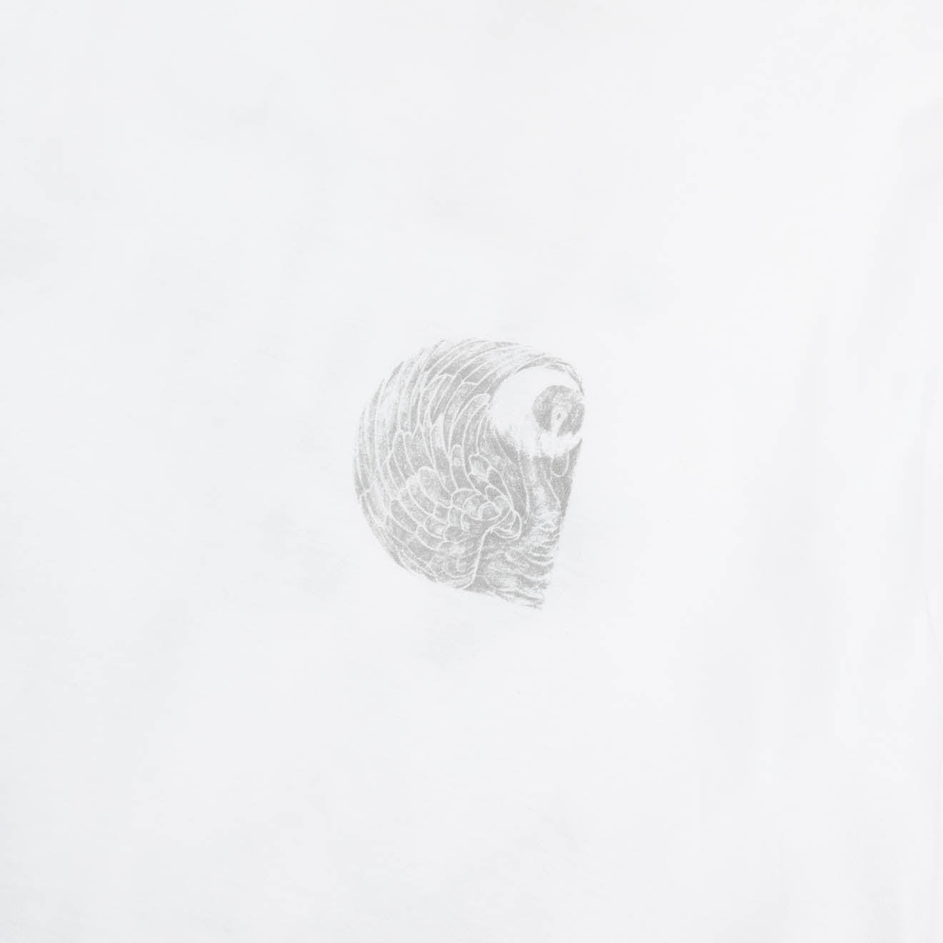 Carhartt WIP Womens S/S Okniceok T-Shirt White - pam pam 