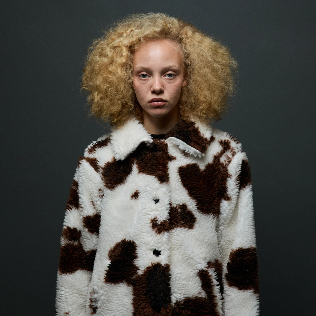 Obey Womens Nolie Sherpa Short Coat Cow Print