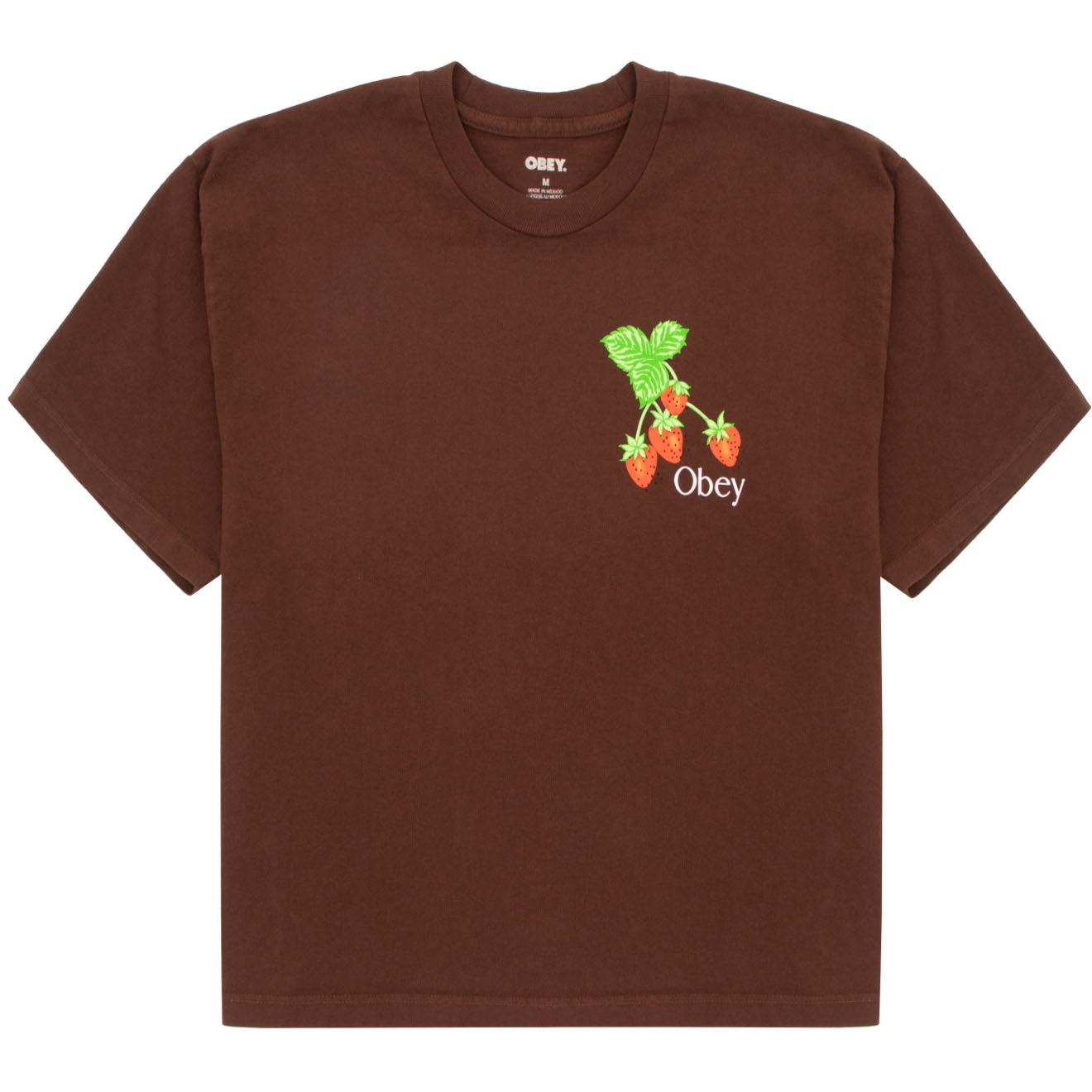 Obey Womens Strawberry Bunch Tee Java Brown