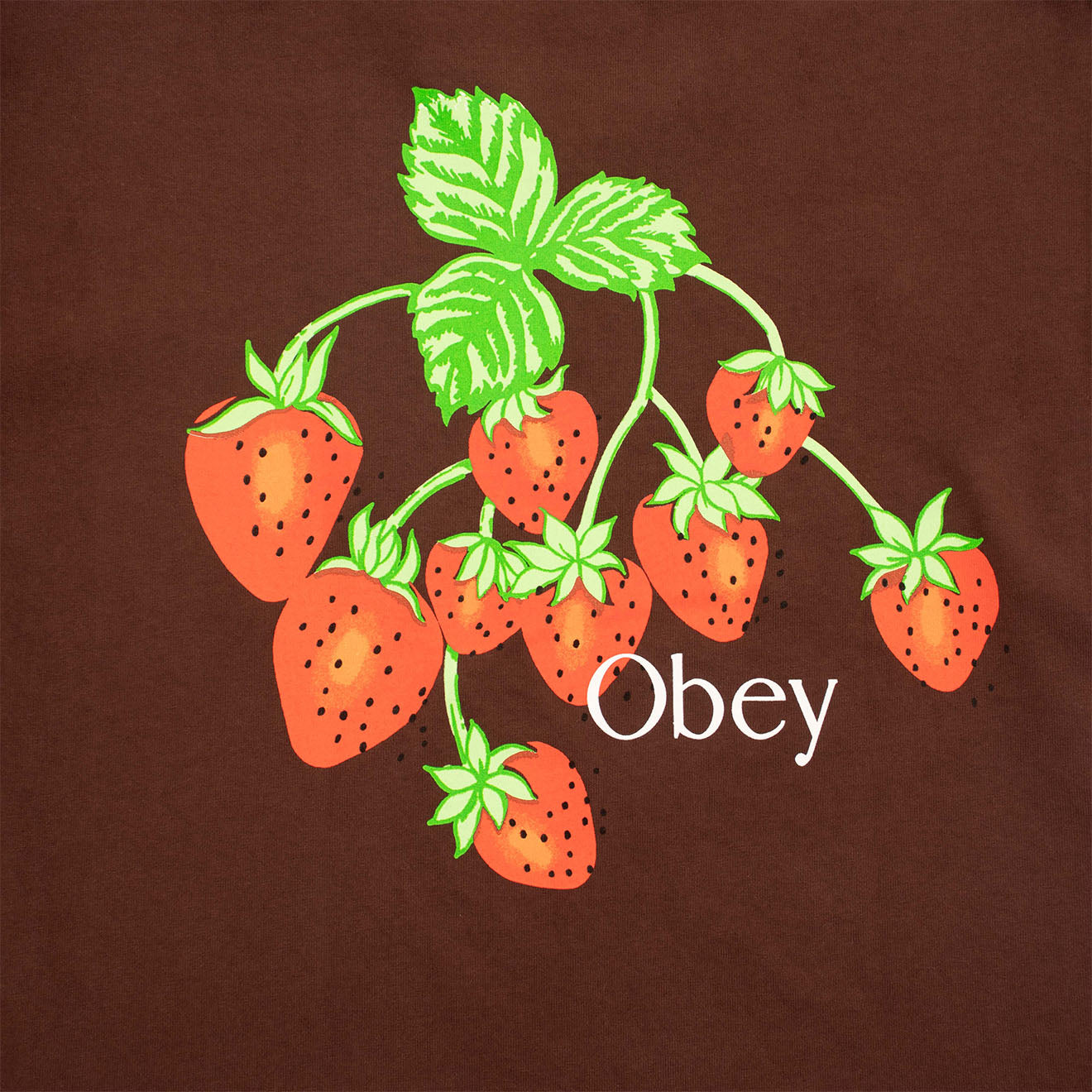 Obey Womens Strawberry Bunch Tee Java Brown