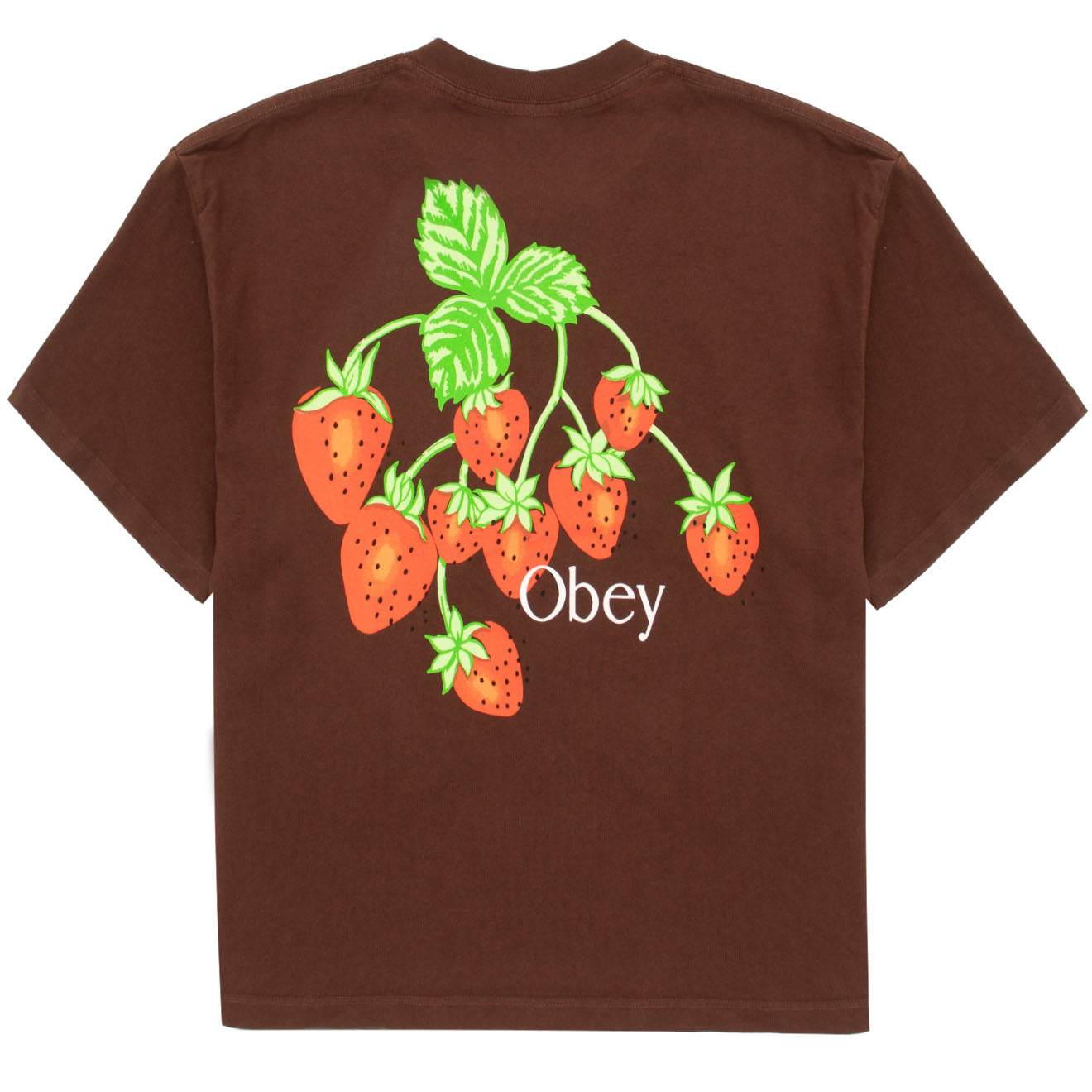 Obey Womens Strawberry Bunch Tee Java Brown