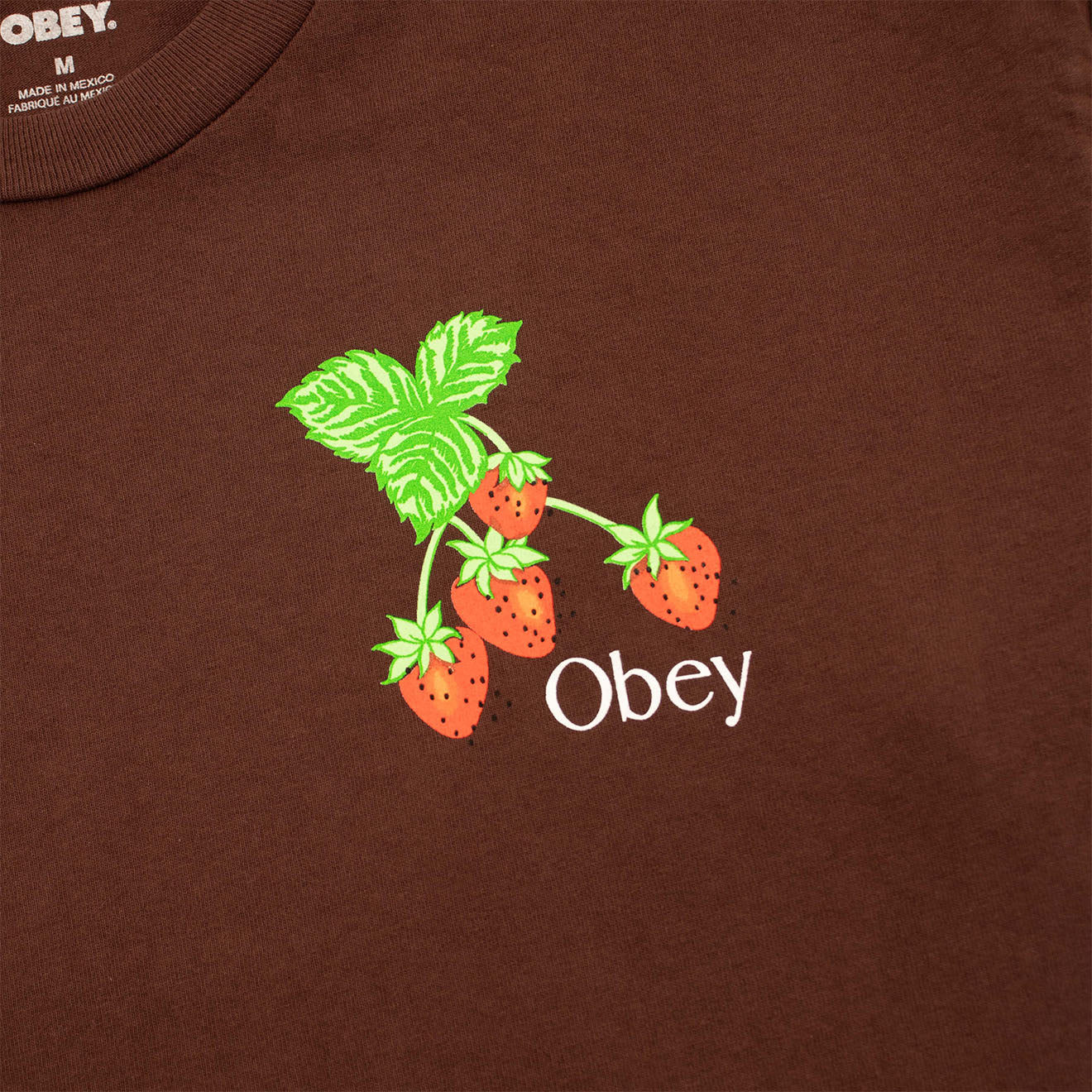 Obey Womens Strawberry Bunch Tee Java Brown