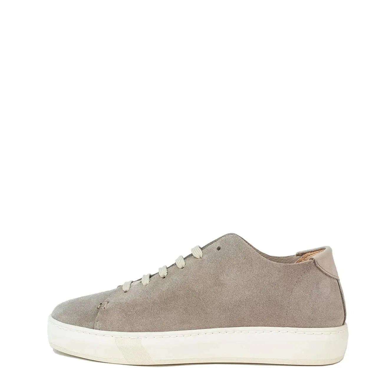 Astorflex Elastflex Sneaker Grigio